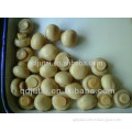 Cheap price champignon mushroom whole in can, in canned vegetables